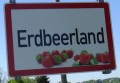 Erdbeerland by Hoffelner